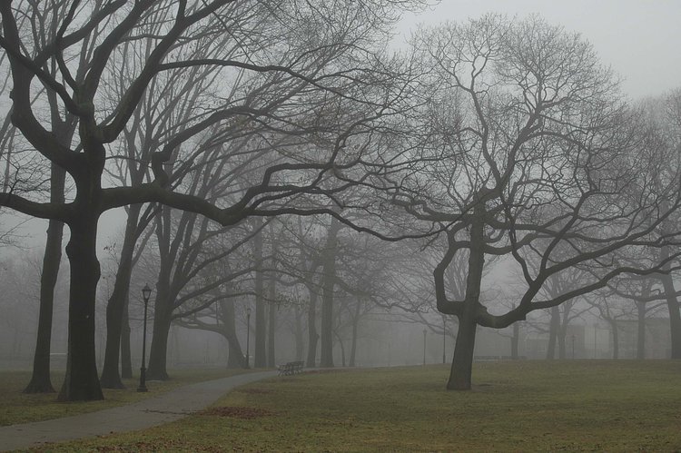 McKinley Park, Brooklyn