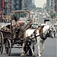 Scrap metal collector on the Way to Harlem, 1970