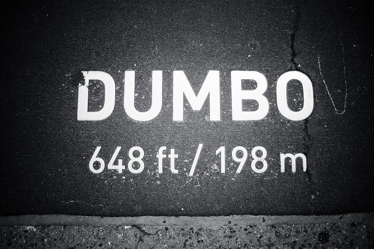 DUMBO | <b>D</b>own <b>U</b>nder the <b>M</b>anhattan <b>B</b>ridge <b>O</b>verpass
