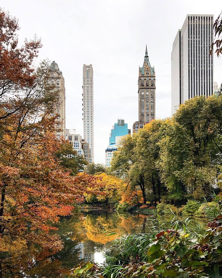 Central Park, New York, New York
