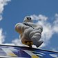 Michelin