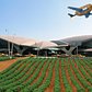 JetBlue Opened a Potato Farm at JFK Airport