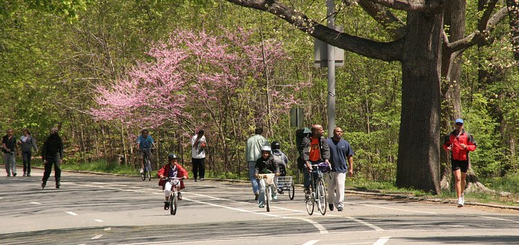 Prospect Park Loop Drive Spring