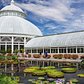 Tourist in Your Own Town #51 - New York Botanical Garden
