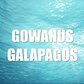 Gowanus Galapagos