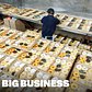 Inside The Secret Doughnut Factory Supplying NYC's Food Carts