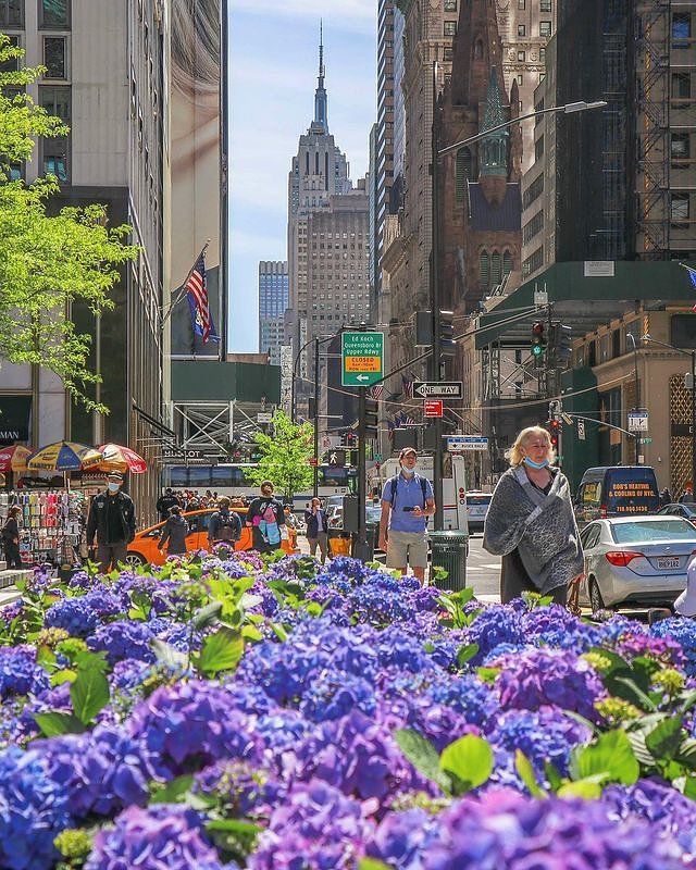 5th Avenue, Midtown, Manhattan