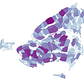 Cartogram of New York City Population Density
