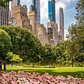 Central Park, Manhattan
