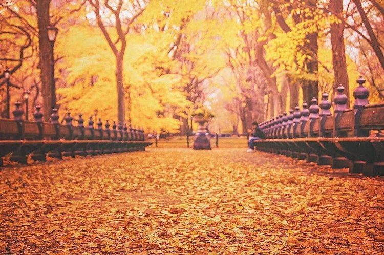 Photo via @travelinglens 
#viewingnyc