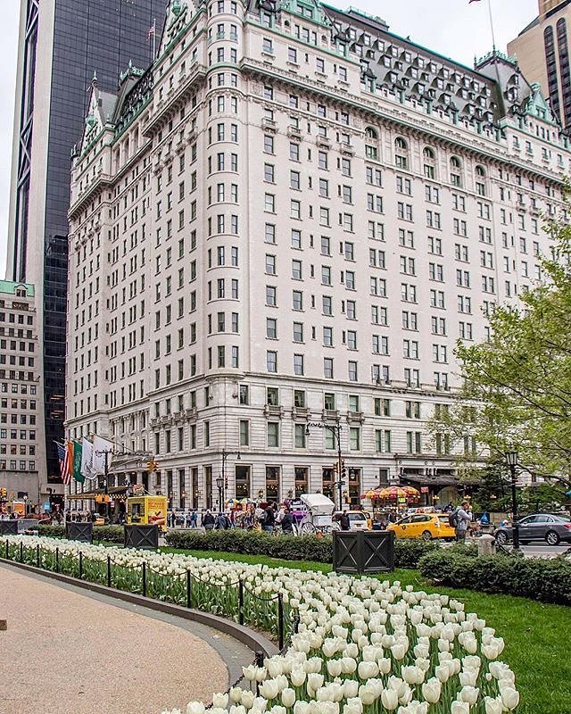 Plaza Hotel, New York, New York. Photo via @newyorkcitykopp #viewingnyc #newyork #newyorkcity #nyc