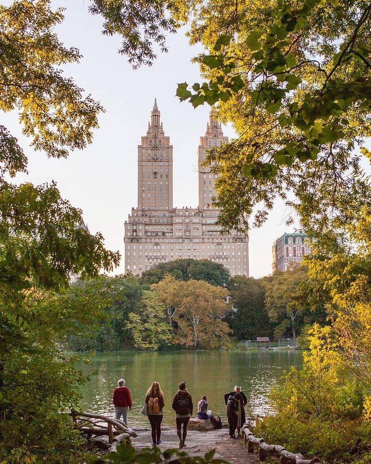 Central Park, New York. Photo via @nycgo #viewingnyc #newyork #newyorkcity #nyc #centralpark