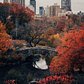 Central Park, Manhattan