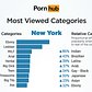 Most Viewed Porn Categories in New York