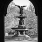 Bethesda Terrace and Fountain, Central Park, New York