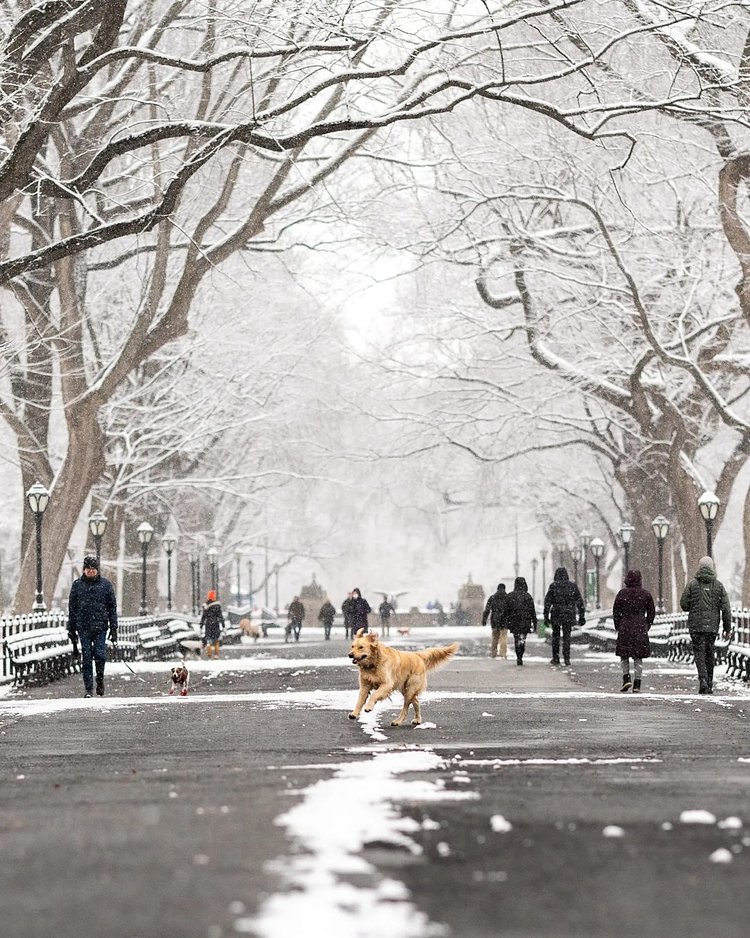 The Mall in Central Park, Manhattan