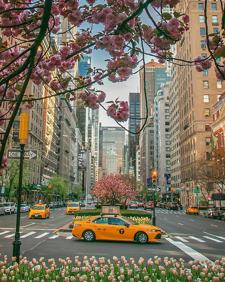 Park Avenue, Midtown, Manhattan