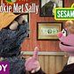 Sesame Street: When Cookie Met Sally (When Harry Met Sally Parody)