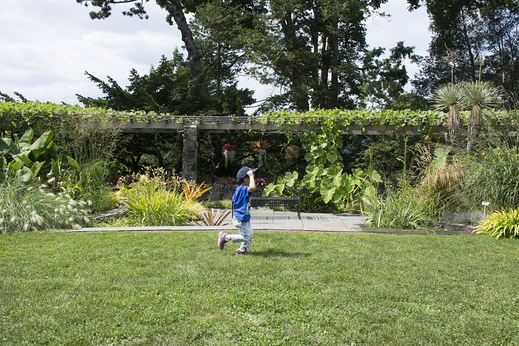 Wave Hill | Photo: Brent Terry for The Bronx Bohemian / Viewing NYC