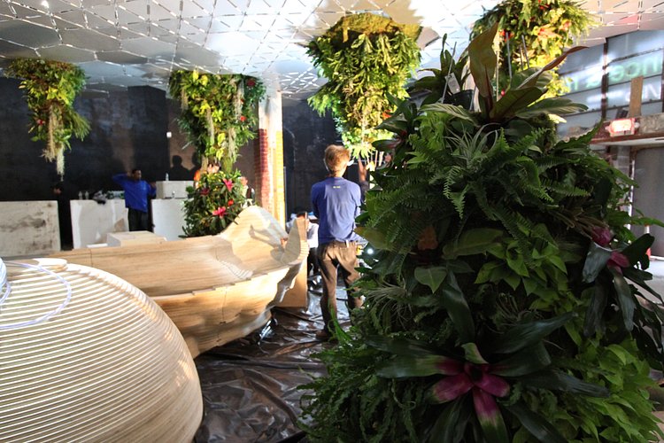 IMG_3984 | Photo by Meg Collins