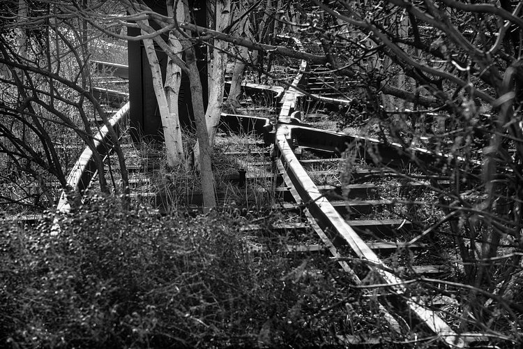 Web High Line 6 rails | The High Line, New York City.  Sony A6000