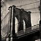 Brooklyn Bridge, 2014