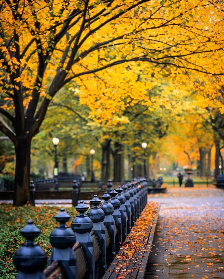 Central Park Mall, Central Park, Manhattan