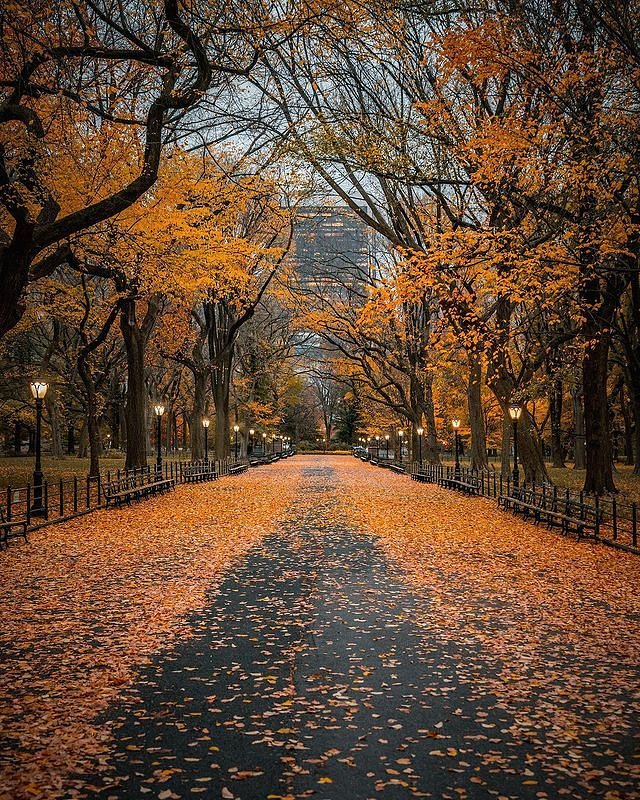 The Mall in Central Park, Manhattan, New York