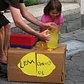 Lemonade Stand