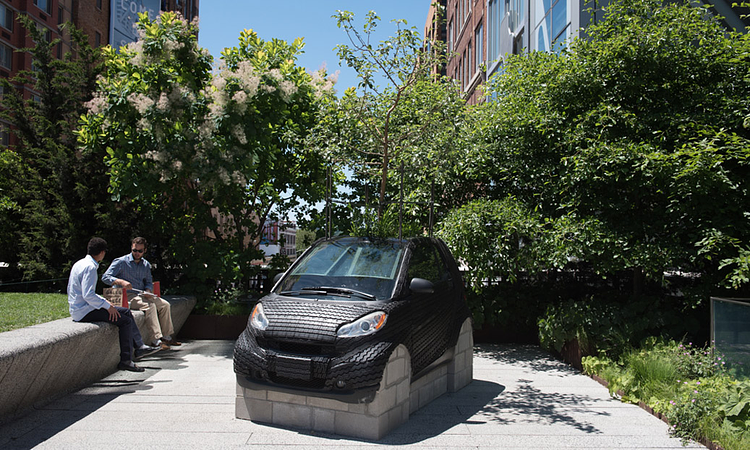 Smart Tree, Nari Ward