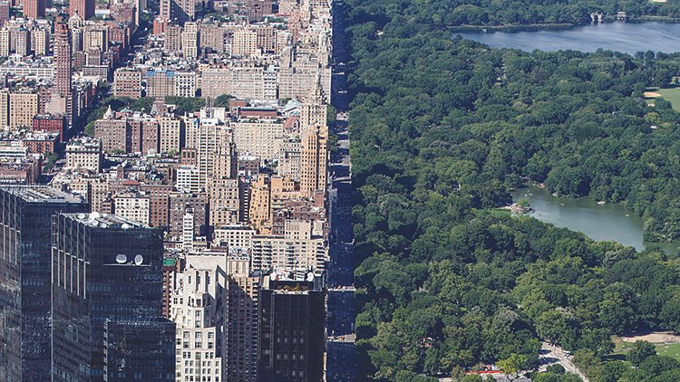 Central Park, looking north from Colombus Circle