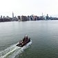 My Drone (DJI Phantom 3) was trying to catch a water taxi in NYC