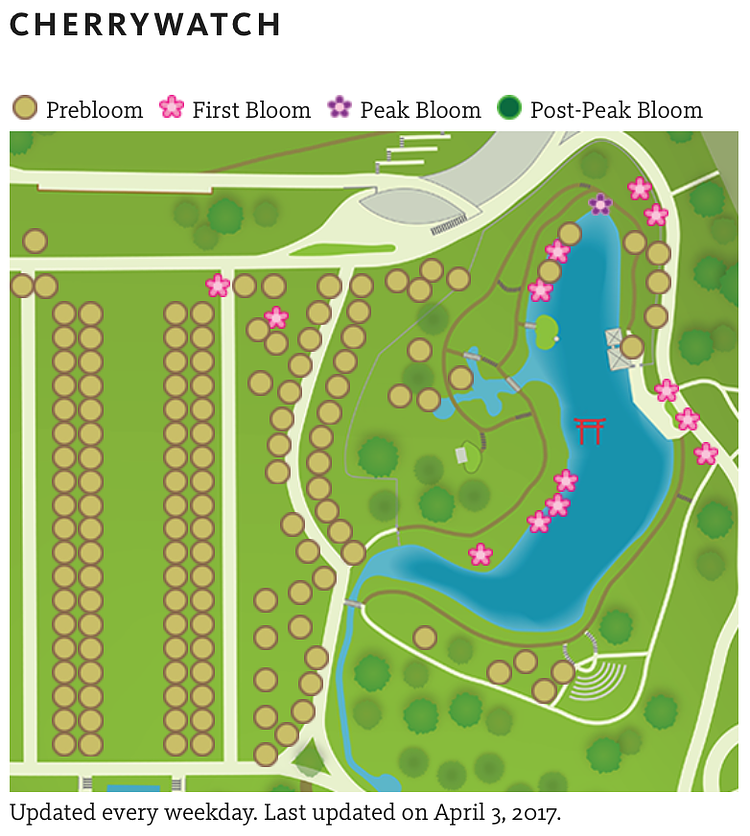 Cherrywatch (screenshot)