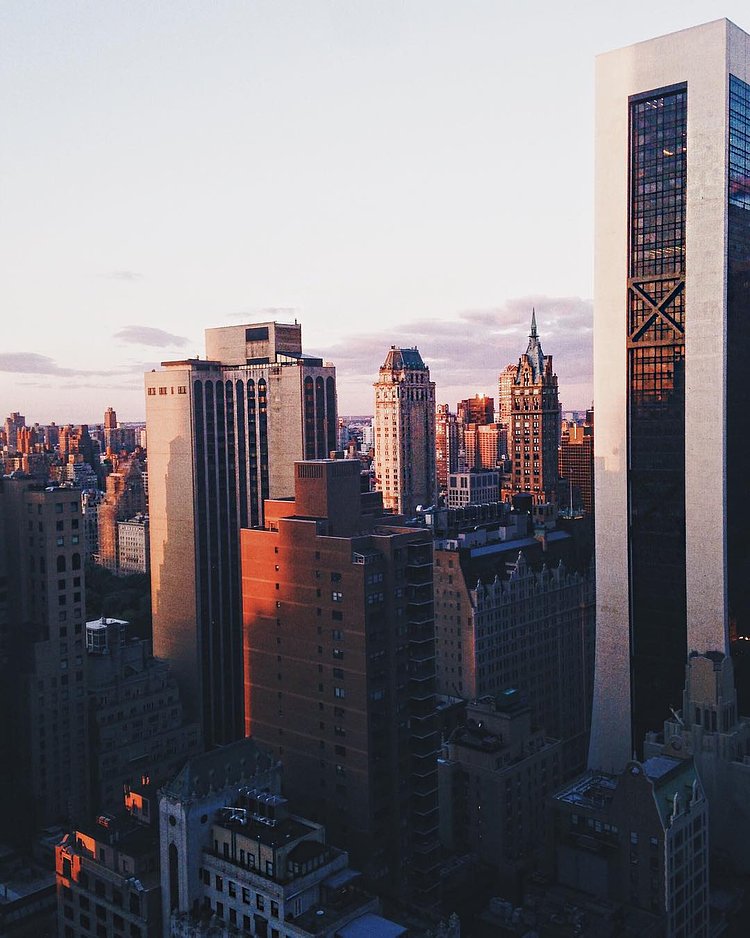 from earlier today...😻🗽🍎