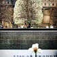 Survivor Tree, World Trade Center Memorial, Financial District, Manhattan