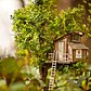 Treehouse Mini in the Park