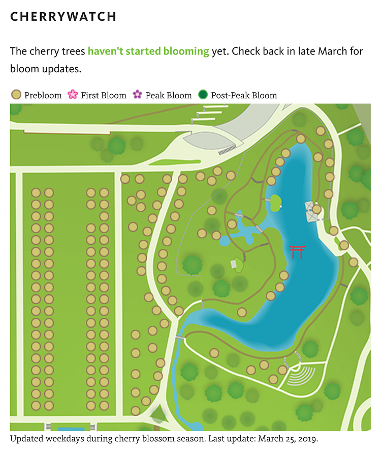 Brooklyn Botanic Garden's Cherry Watch (screenshot)