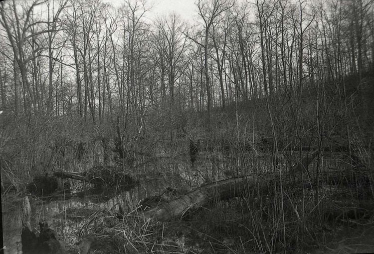 Reeds Valley, Staten Island circa 1937. (From the Collection of the Staten Island Museum)