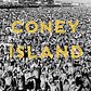 Coney Island: Visions of an American Dreamland, 1861–2008