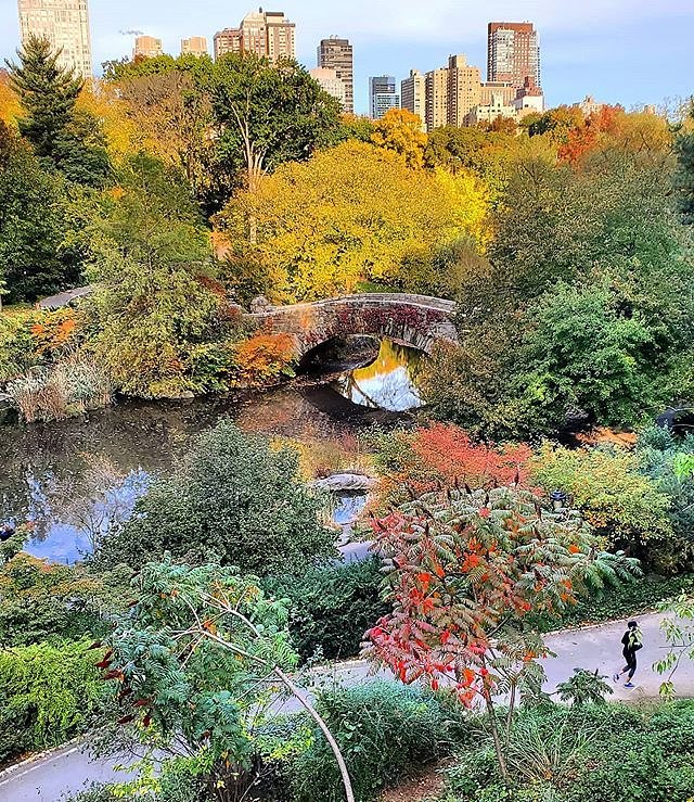 Central Park, Manhattan