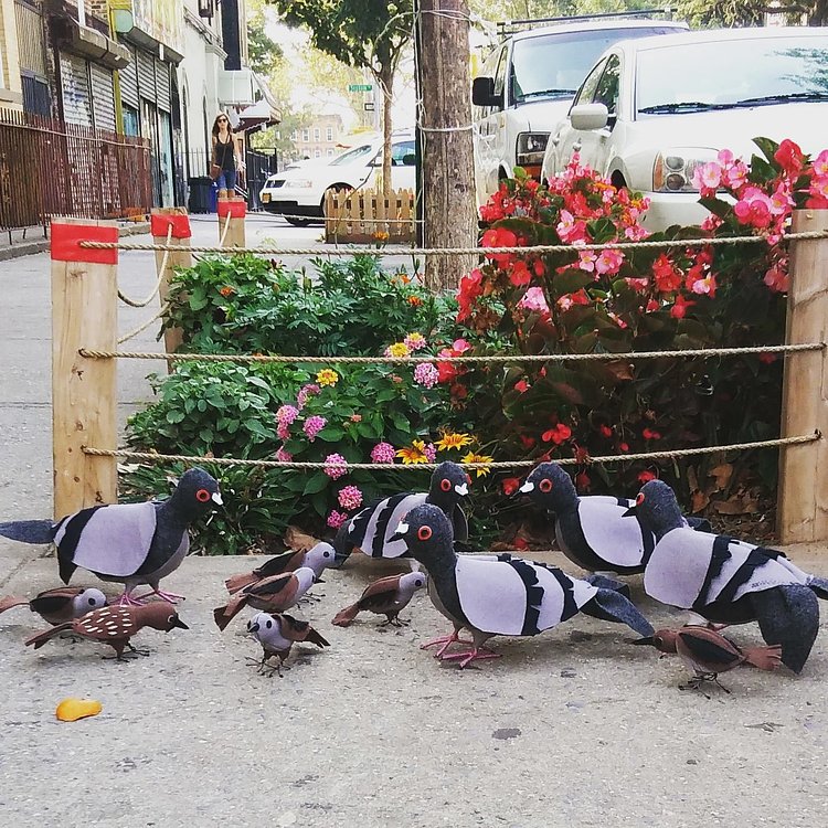 New birds to add to my flock! We will be in union square tomorrow Friday.