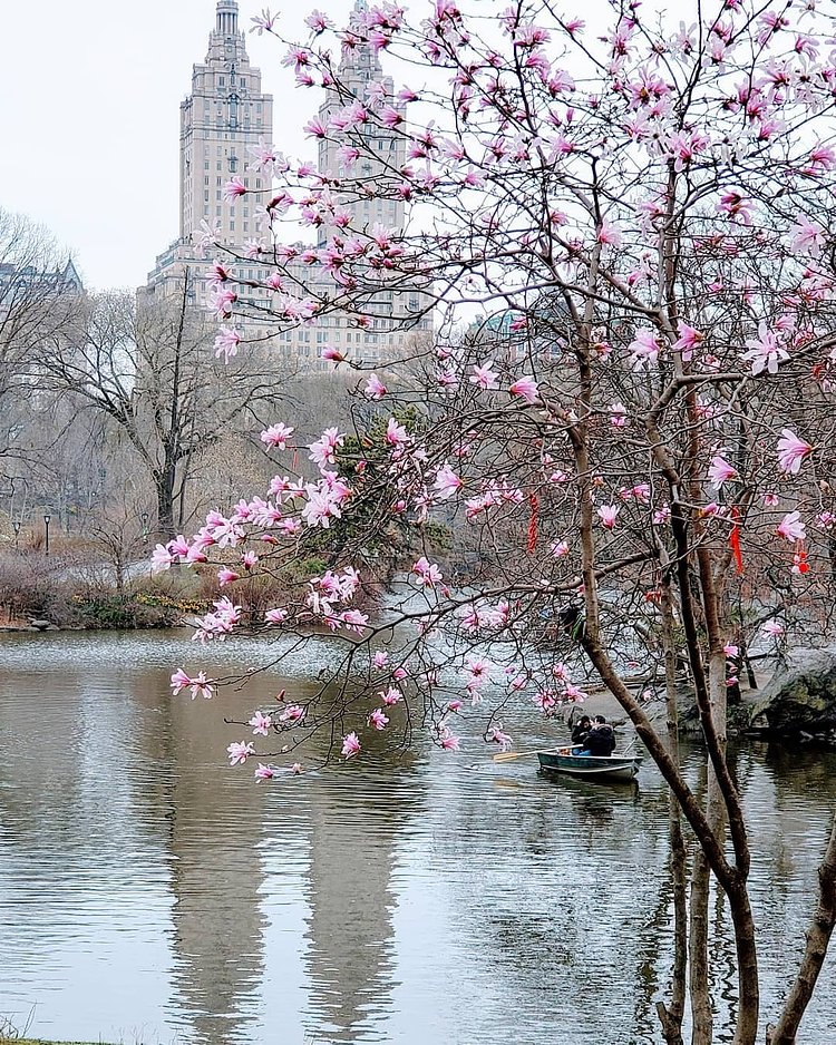 Central Park Lake, Manhattan