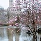 Central Park Lake, Manhattan
