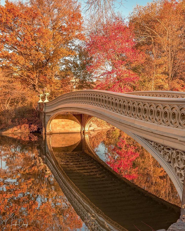 Bow Bridge, Central Park, New York. Photo via @jackdarylphotography #viewingnyc #newyork #newyorkcity #nyc #sunrises #fall #bowbridge #centralpark