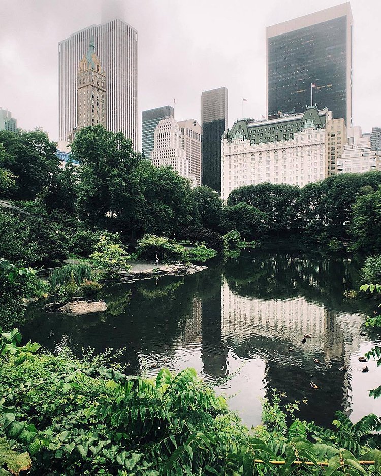 Central Park, New York. Photo via @melliekr #viewingnyc #newyork #newyorkcity #nyc #centralpark #rain