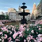 Brooklyn Borough Hall, Downtown, Brooklyn.