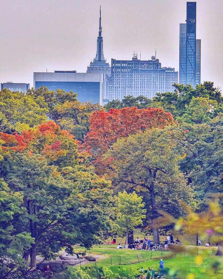 Autumn in Central Park, Manhattan