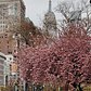 Madison Square Park, Flatiron District, Manhattan