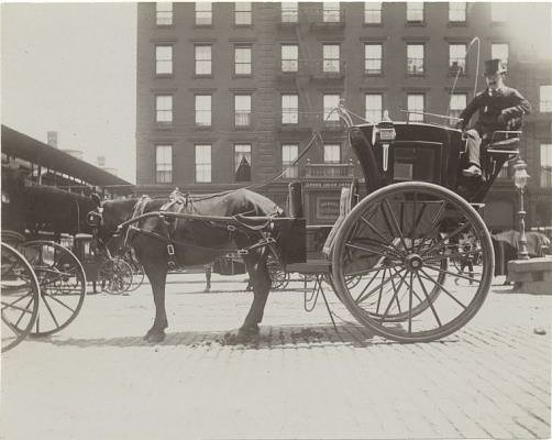 Horse-drawn hacks of the 19th century: A bad rep is born