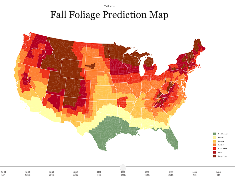 2021 Fall Foliage Map